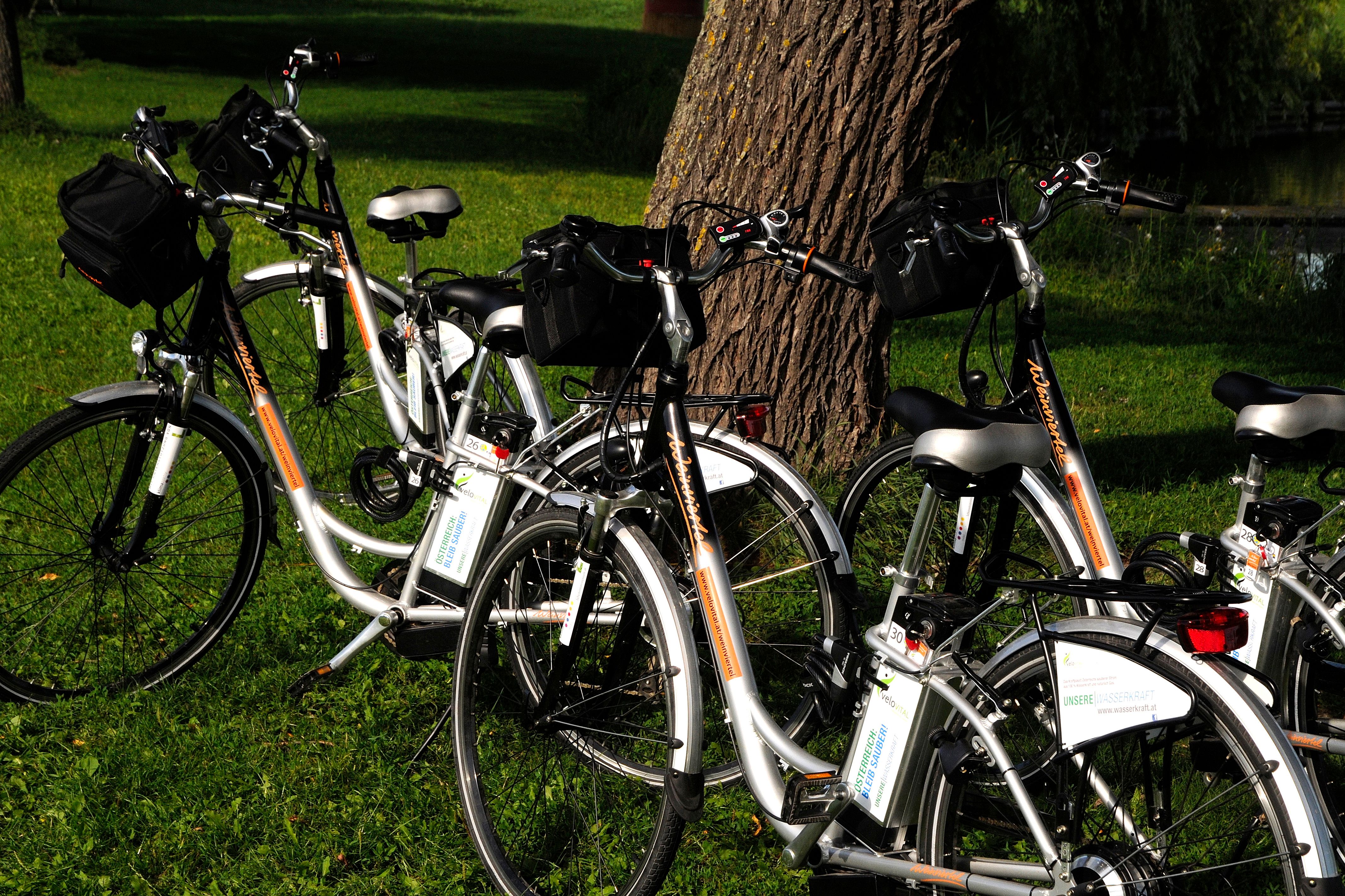 Mehrere E-Bikes stehen auf einer Wiese vor einem Baum.