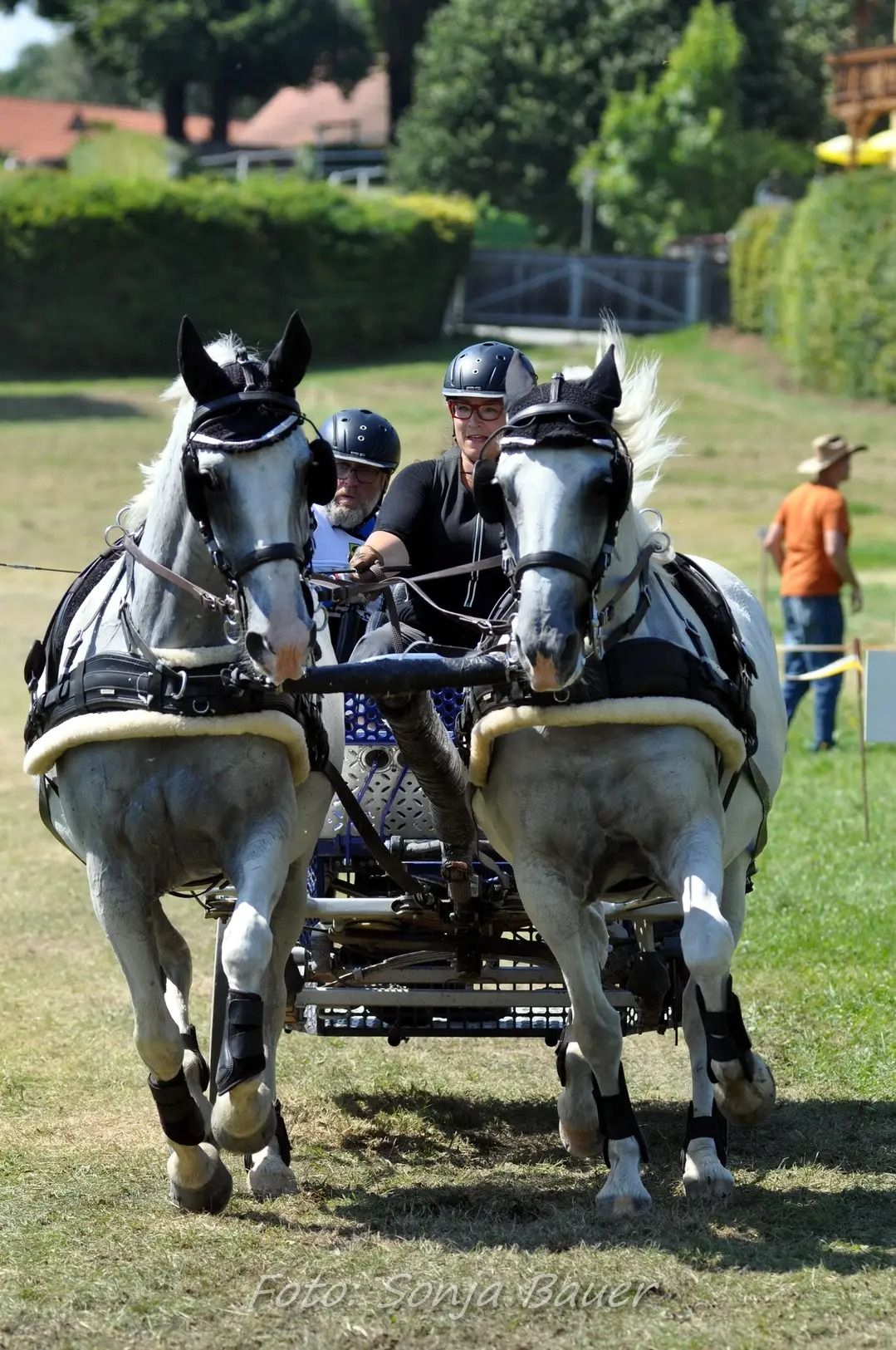 Kutsche bei den Linden 
