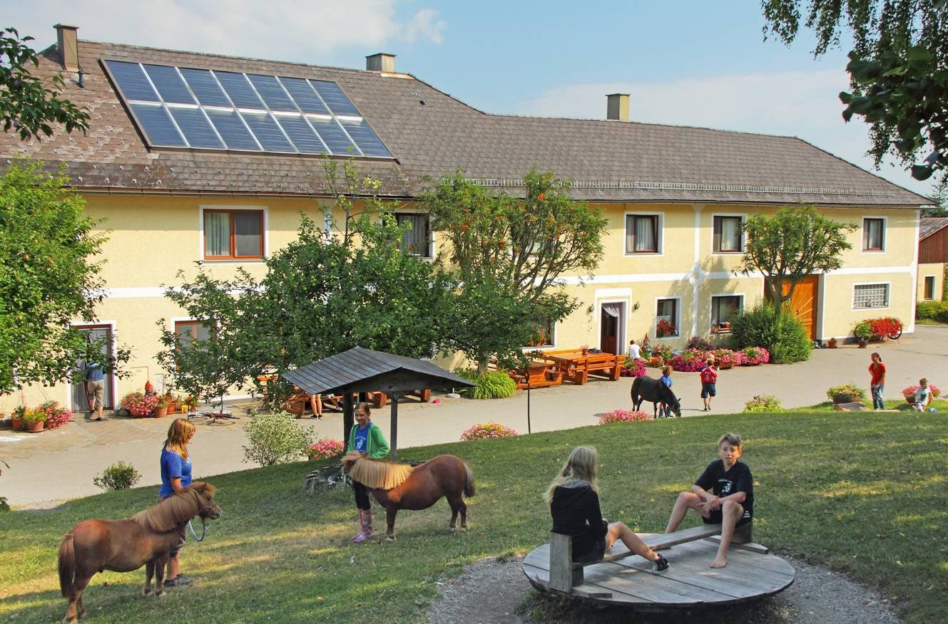 Kinder spielen auf einem Bauernhof mit Ponys im Vordergrund.