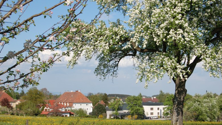 Bildungszentrum St. Benedikt, © BZ St. Benedikt Bildungszentrum St. Benedikt, © BZ St. Benedikt