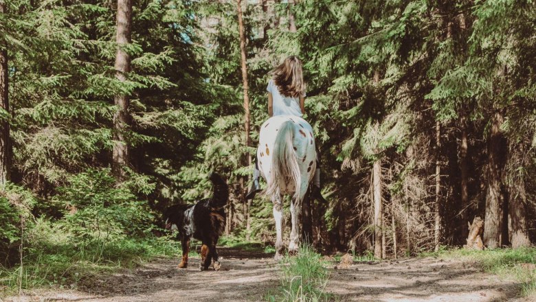 wald_1, &copy; Biohof Pascher