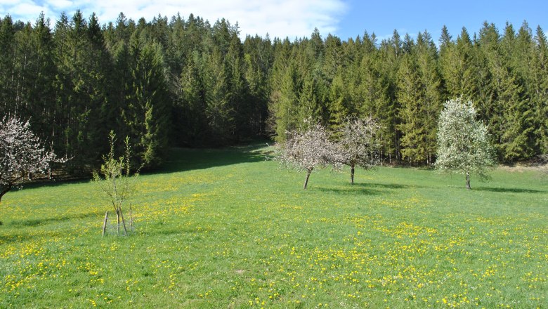 Landschaft hinter dem Haus, &copy; Patrick Leitner