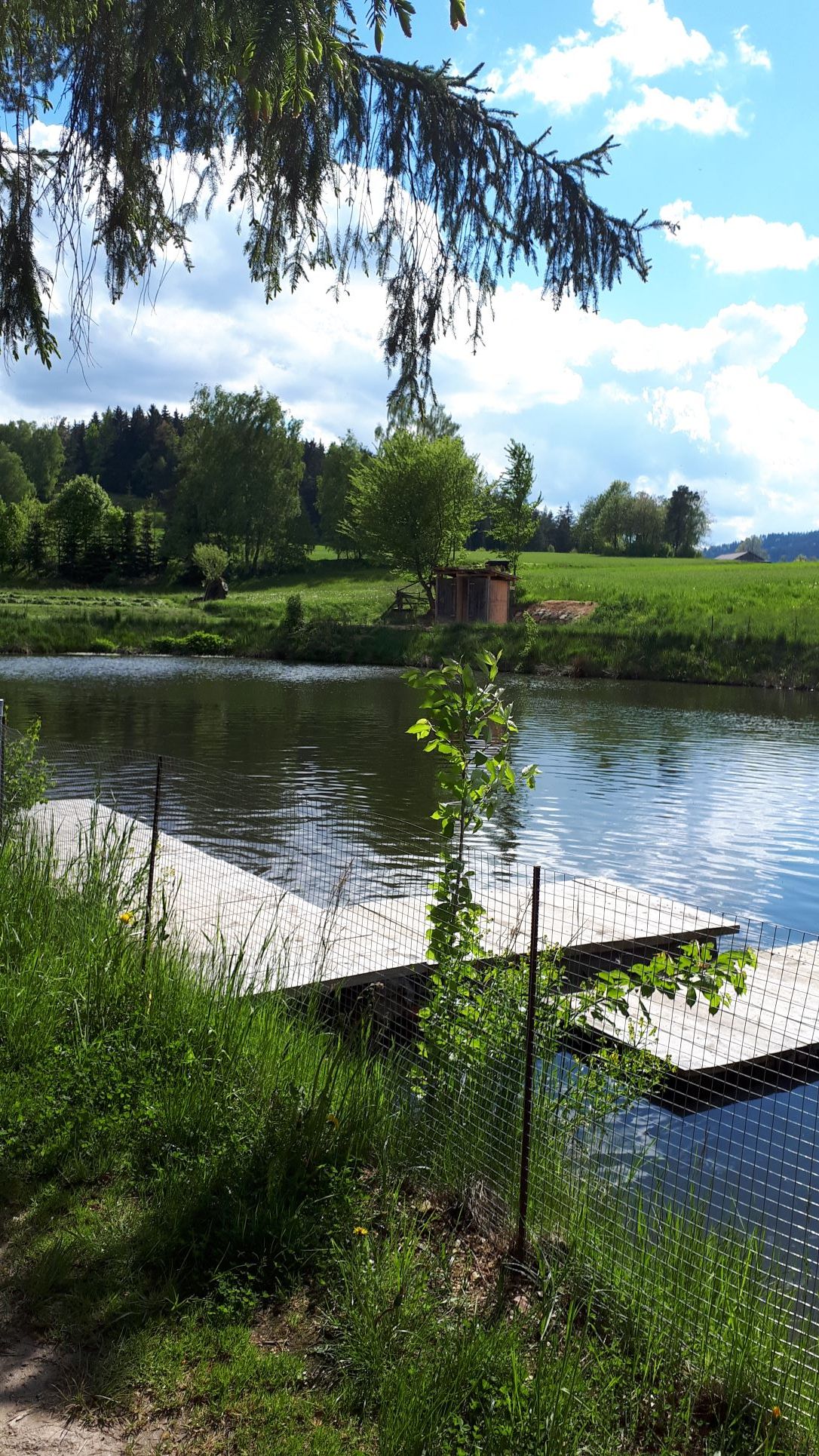 Teich mit Zeltplatz