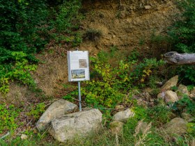 Station 5, &copy; Gottfried Grossinger