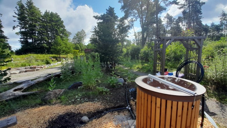 Ein Garten mit einem Holzfass, umgeben von B&auml;umen und Pflanzen unter einem blauen Himmel.