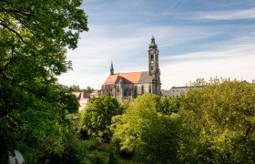 Kirche inmitten von B&auml;umen und blauem Himmel.