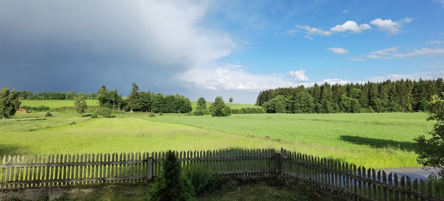Gartenblick