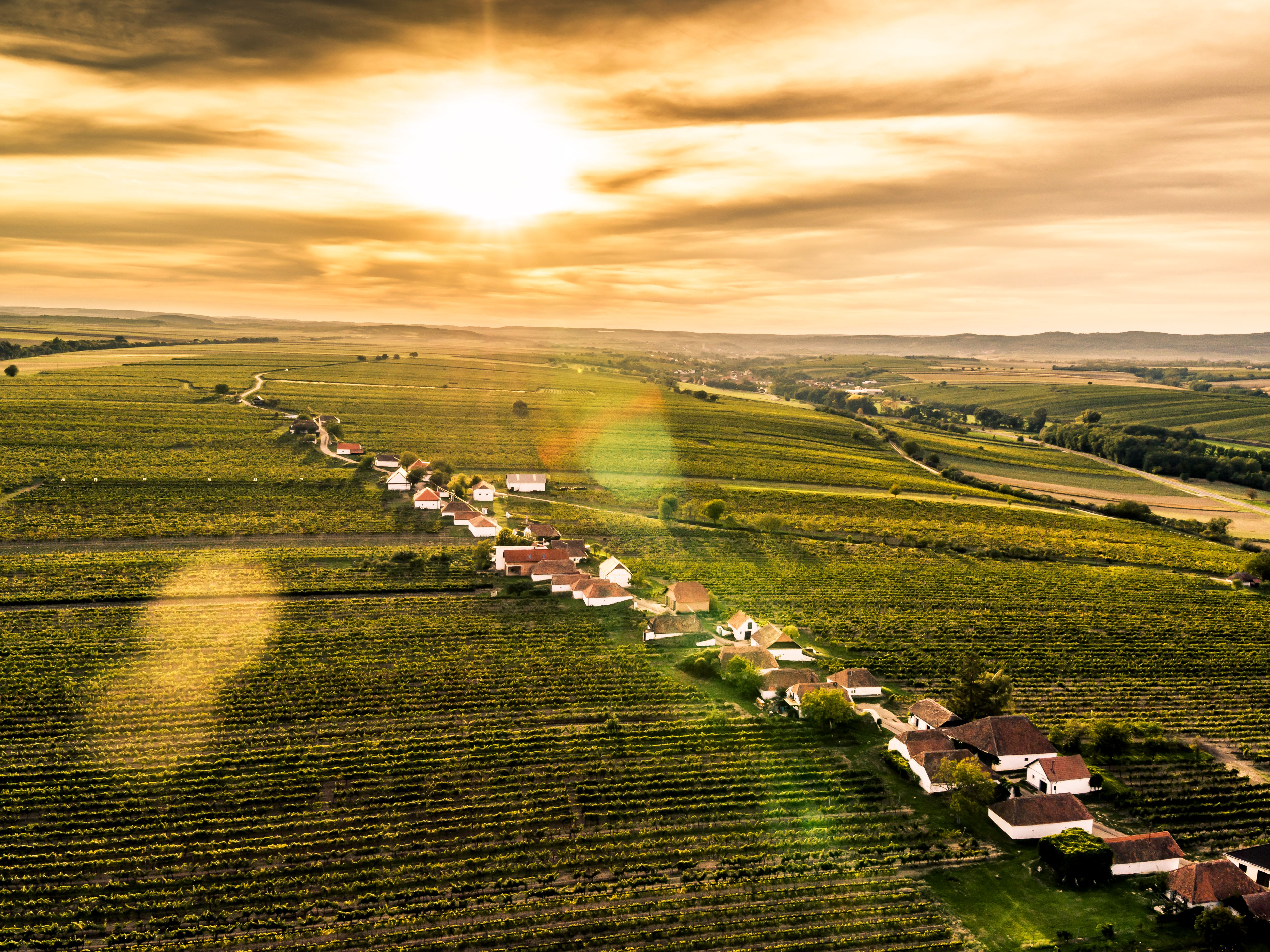 Weinkeller in Zellerndorf, umgeben von Weinbergen und blauem Himmel.
