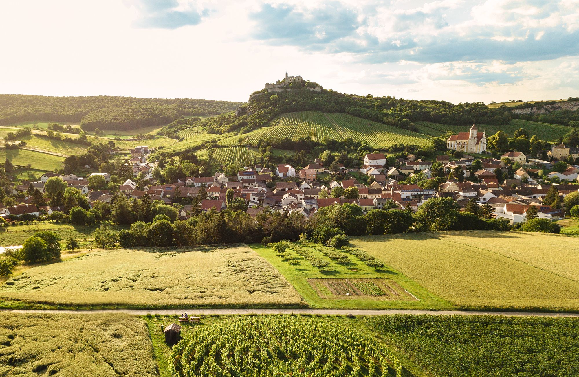 Luftaufnahme eines Dorfes mit Weinbergen und einer Burg auf einem Hügel im Hintergrund.
