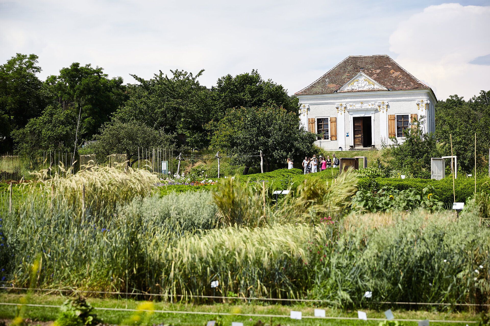 Inmitten üppiger Pflanzenvielfalt und blühender Farben entfaltet sich ein Ort der Ruhe und Inspiration. Der Schaugarten lädt dazu ein, die Schönheit der Natur zu entdecken und sich von der harmonischen Atmosphäre verzaubern zu lassen.