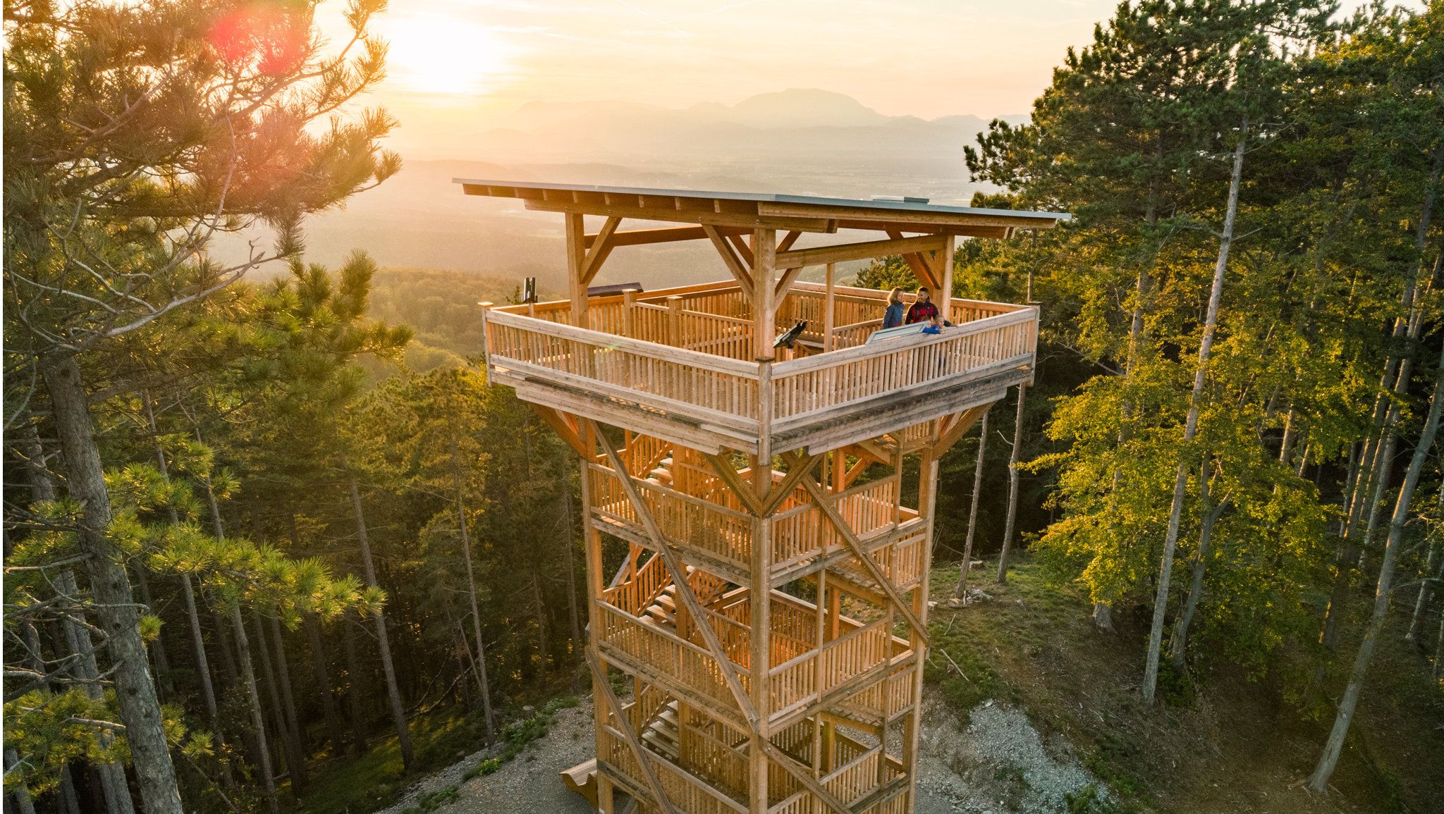 Holzaussichtsturm im Wald bei Sonnenuntergang.