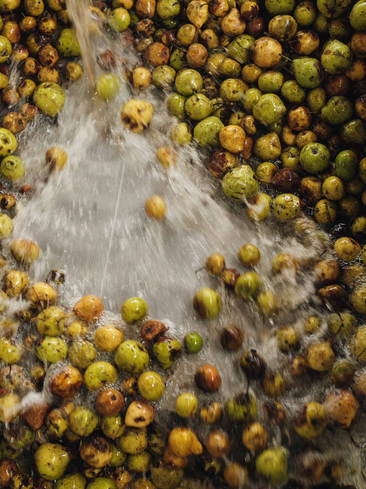 Frisch geerntete Äpfel und Birnen schwimmen in klarem Wasser, während die Sonne sanft auf die saftigen Früchte scheint. Hier im Mostviertel wird die Kunst der Mostproduktion zelebriert, und der süße Duft von frischem Most erfüllt die Luft. Ein Ort, der die Sinne verzaubert und die Freude an regionalen Köstlichkeiten weckt.