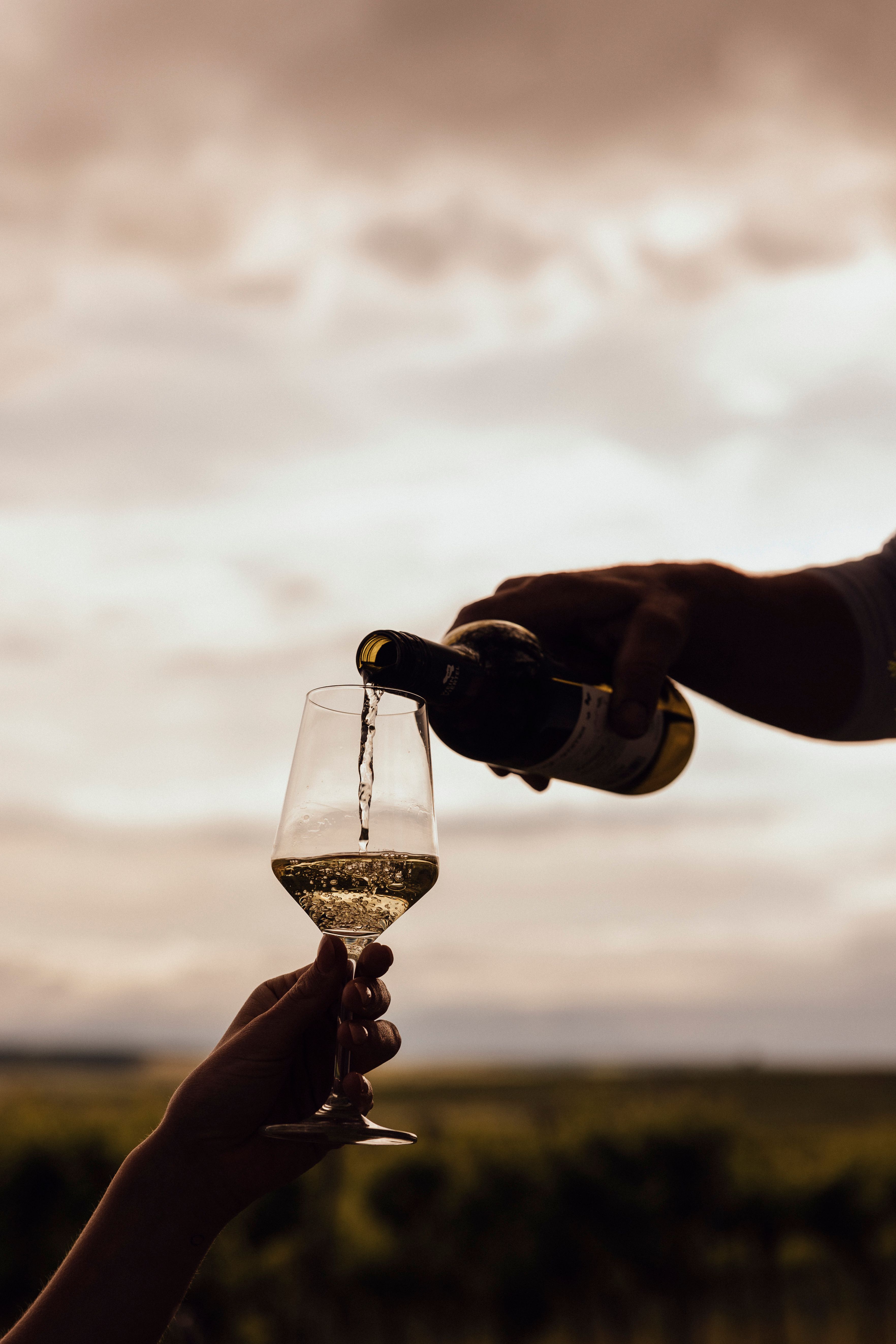 Wein wird in ein Glas im Freien eingeschenkt, mit einem verschwommenen Hintergrund von Weinbergen.