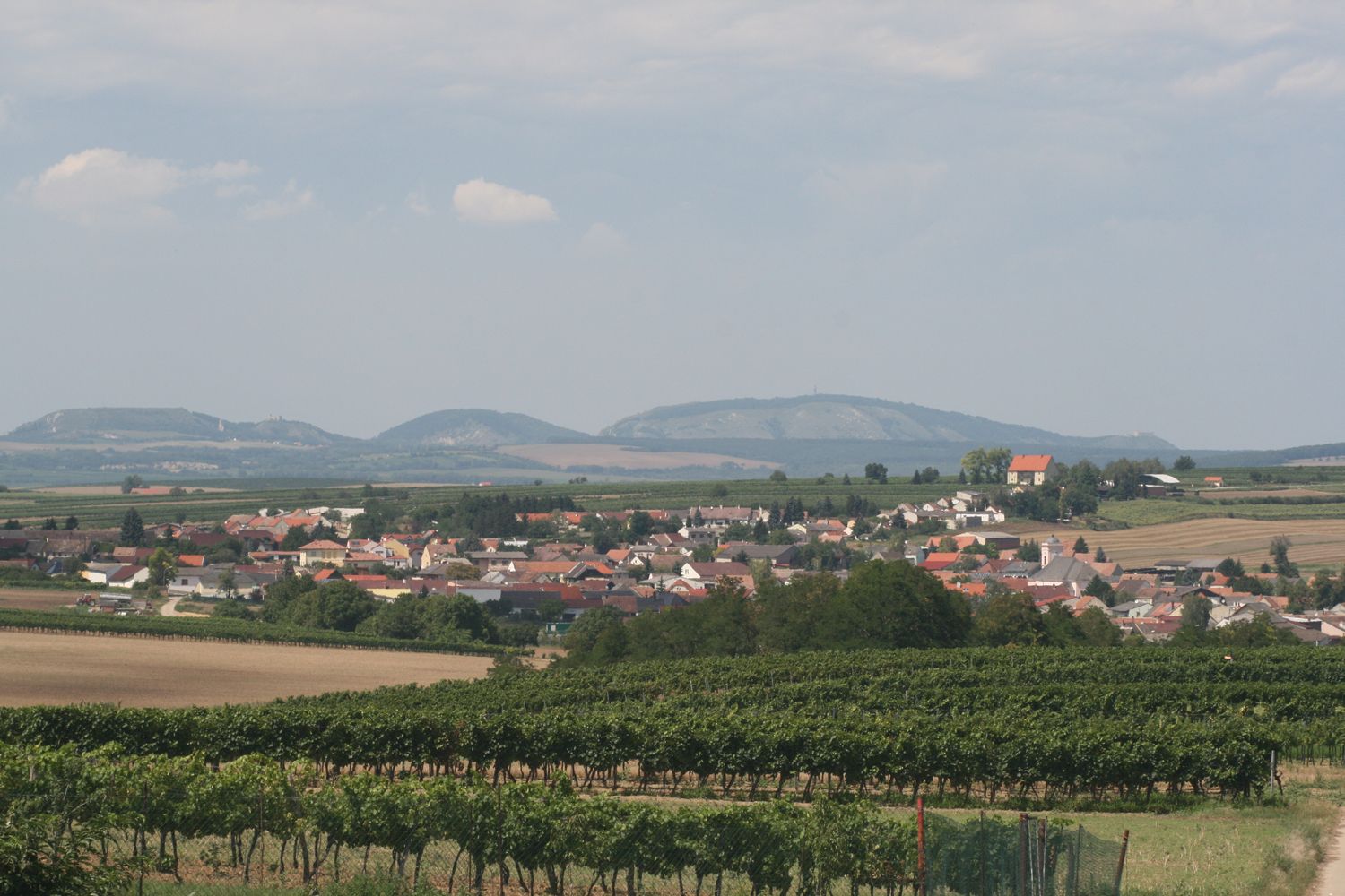 Landschaft mit Dorf, Weinbergen und Hügeln im Hintergrund.