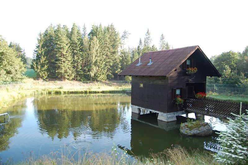Ein kleines Holzhaus steht auf Stelzen in einem Teich, umgeben von Bäumen und Natur.