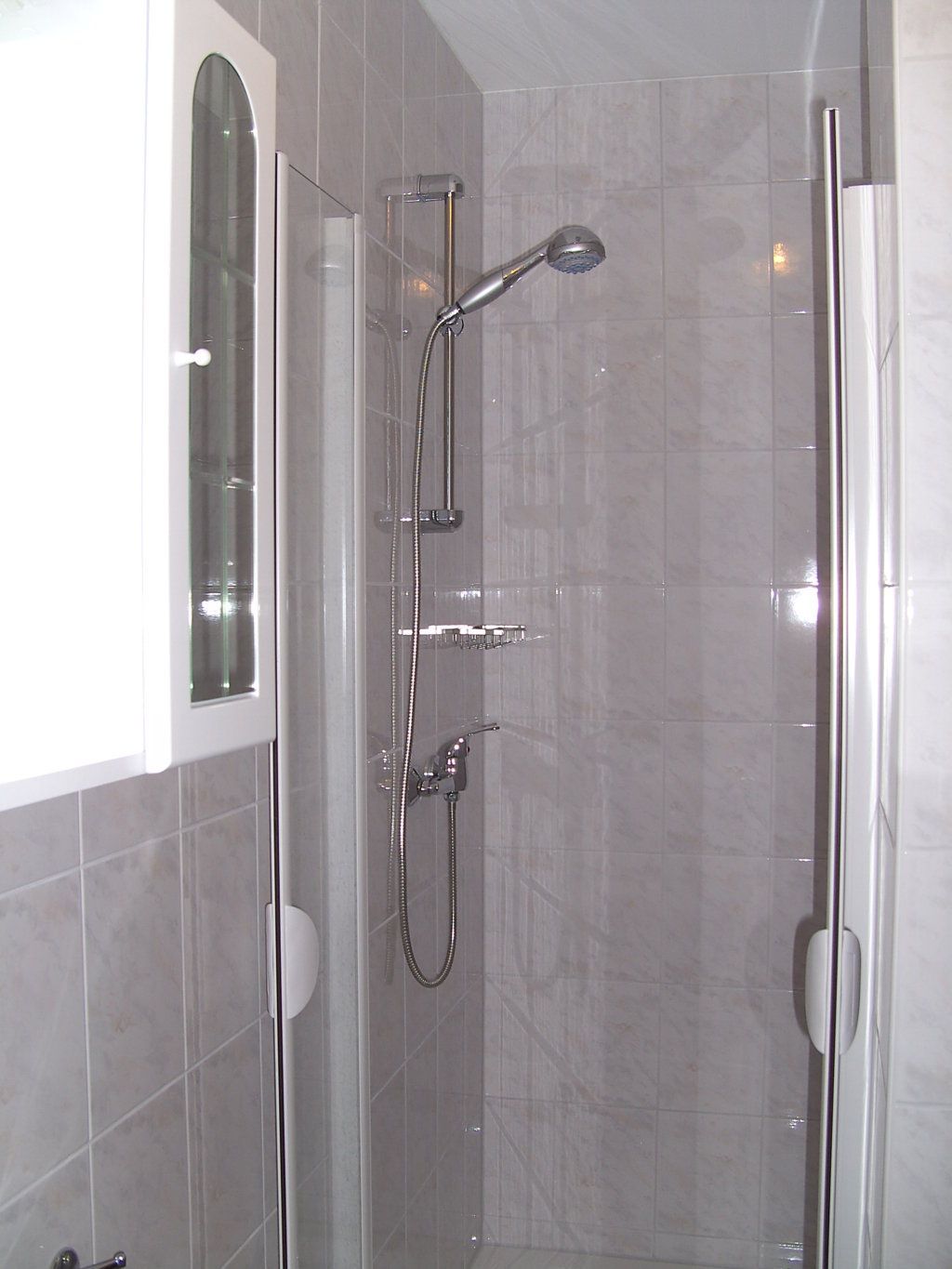 Moderne Duschkabine mit Glastüren und verchromtem Duschkopf.