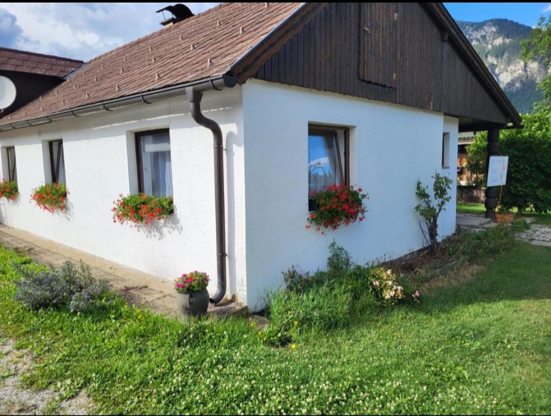 Weißes Haus mit roten Blumen in Blumenkästen vor den Fenstern, grüne Wiese im Vordergrund.