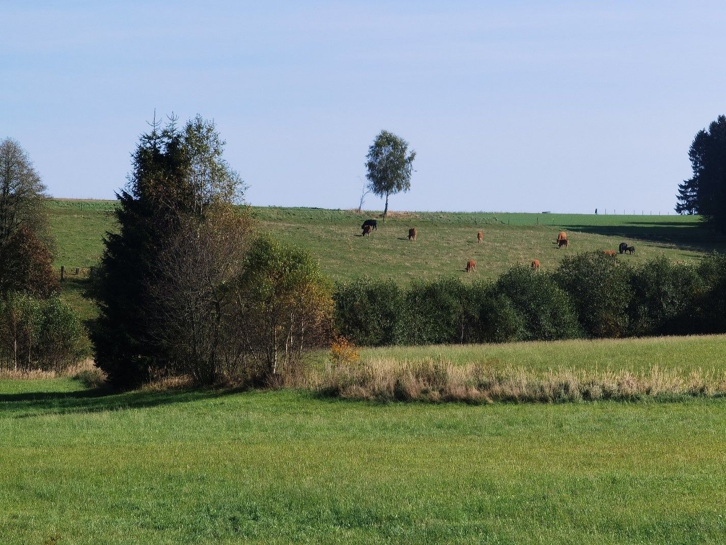 Almblick