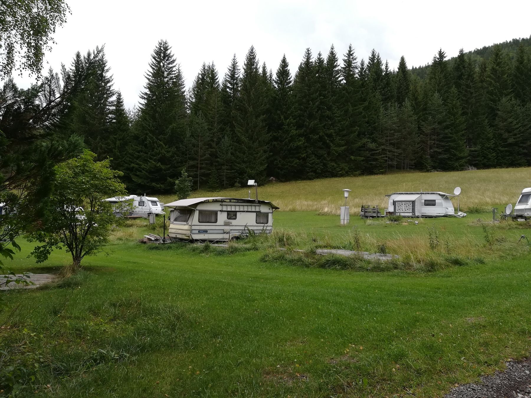Campingplatz mit Wohnwagen auf einer Wiese vor einem Wald.
