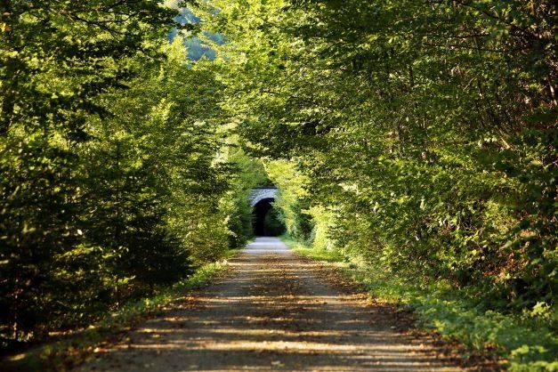 Falkenschlucht-Tour