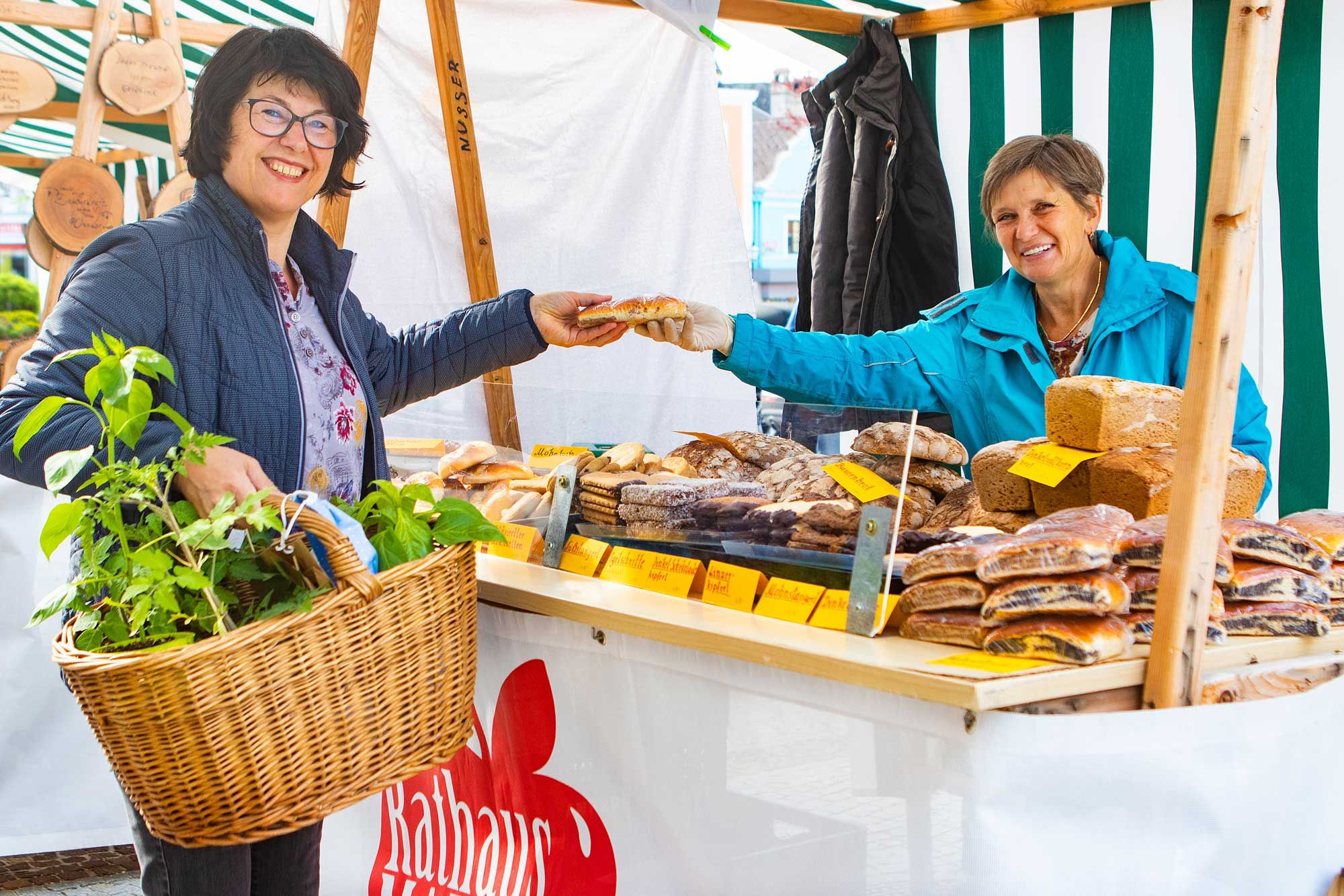 Zwettler Rathausmarkt