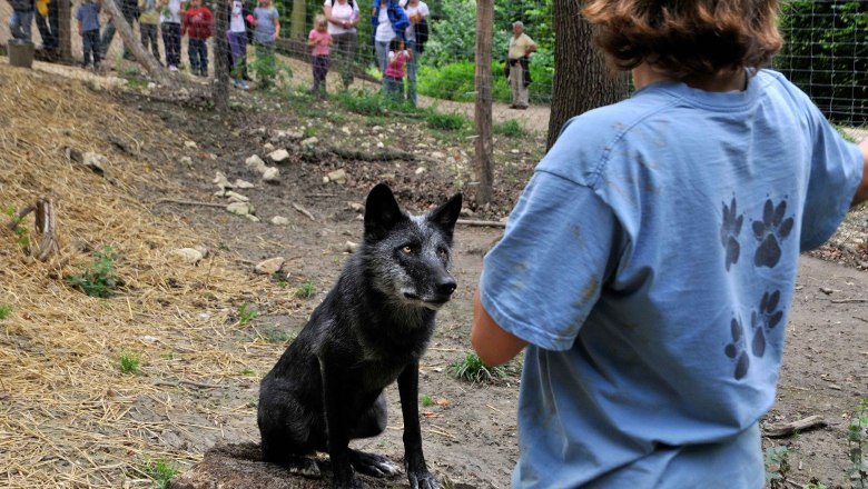 Wolf Science Center, © WTG/Mandl