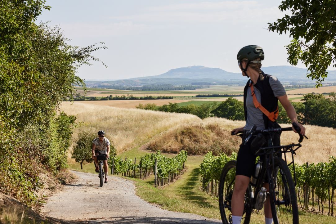 Graveltour Wein findet Stadt
