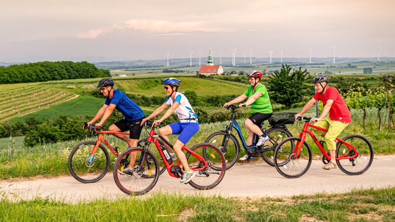 Vier Radfahrer fahren auf einem Weg durch eine gr&uuml;ne Landschaft mit Weinbergen und Windr&auml;dern im Hintergrund.