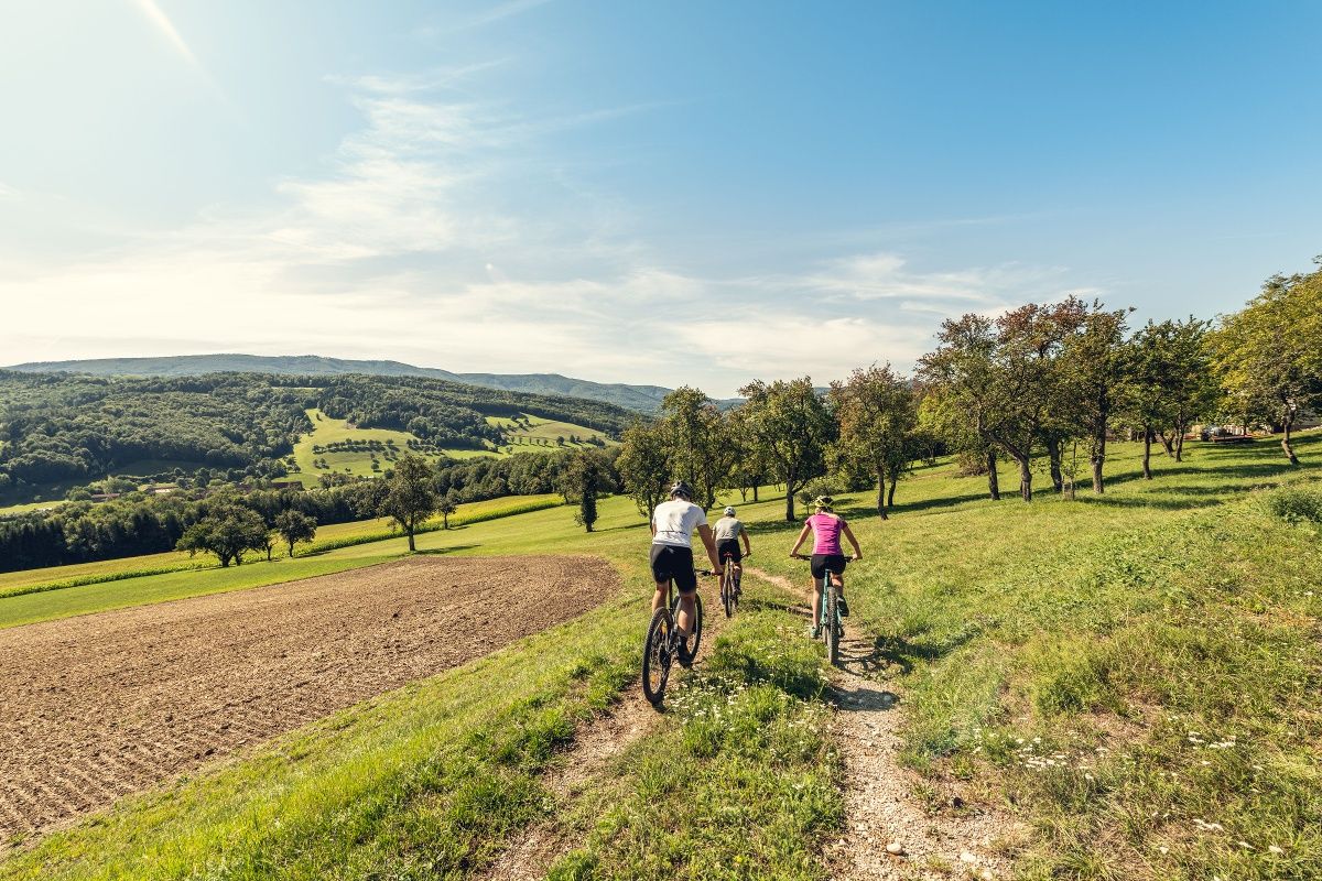 MTB Wienerwald