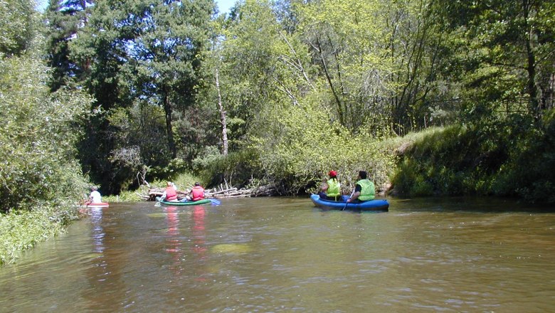 Menschen paddeln in Kanus auf einem Fluss, umgeben von B&auml;umen.