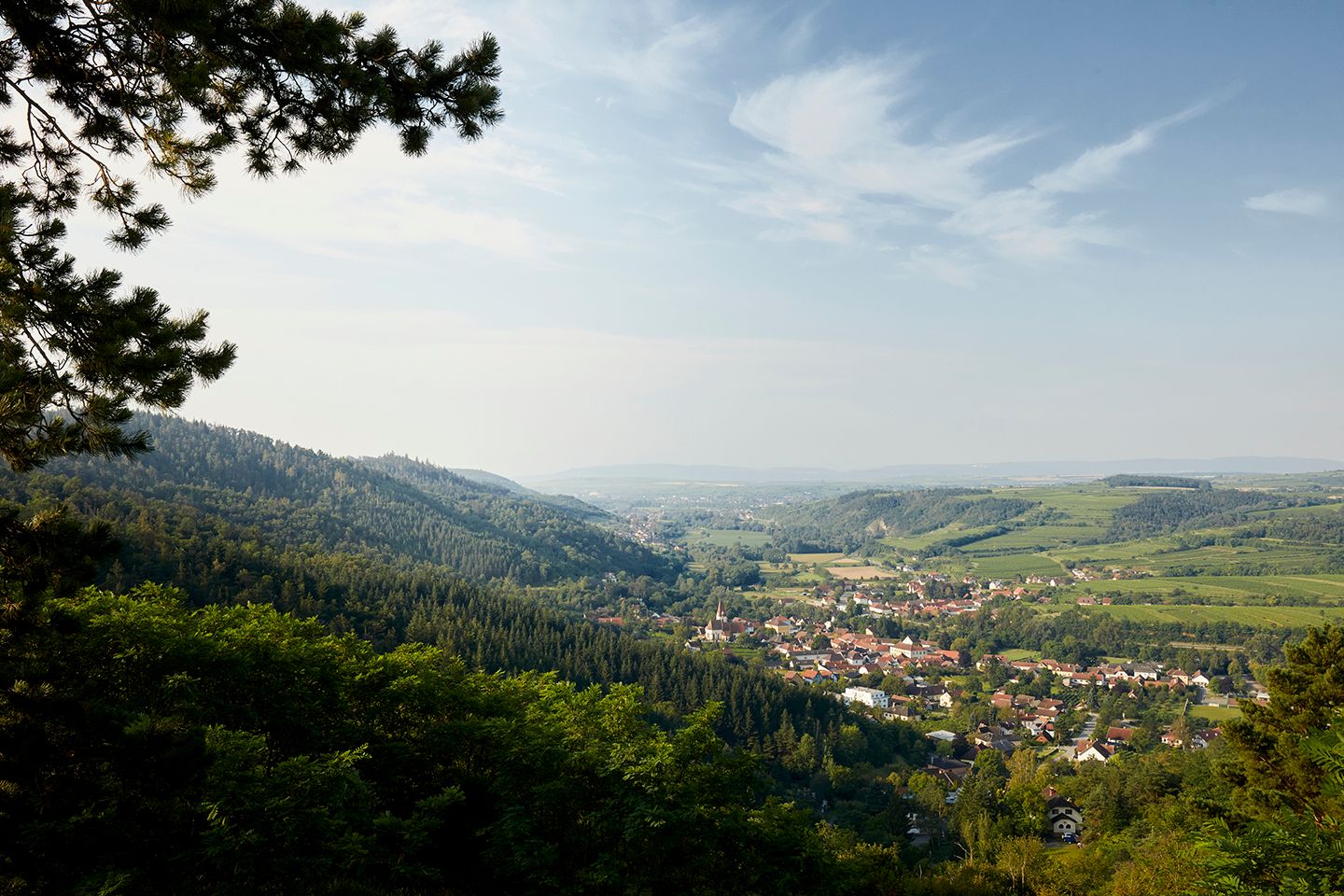 schonbergtourismus_2020-07-21_imgl0774_rupertpessl_web_1