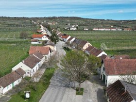 Panoramablick &uuml;ber die Kellergasse Feuersbrunn mit Feldern und Weing&auml;rten,