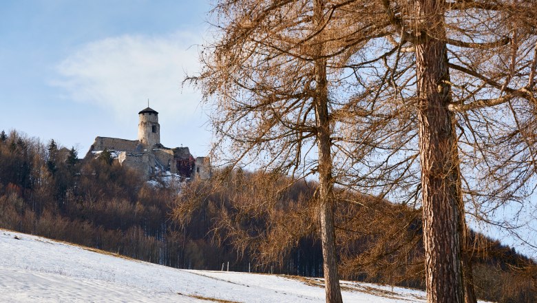 Winter-Besuch der höchstgelegenen Burgruine Niederösterreichs, © Wienerwald Tourismus/Andreas Hofer