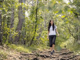 Wandern im Wienerwald, &copy; Wienerwald / Studio Kerschbaum