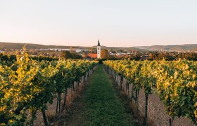 Langenlois, größte Weinstadt Österreichs, © Romeo Felsenreich