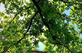 aussenchaletauenblick_c_chaletauenblick, &copy; test