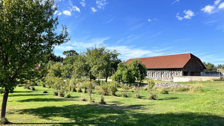 Obstgarten im Sommer, &copy; Anna-Maria Stocker