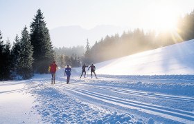 Langlaufen in Mitterbach am Erlaufsee, &copy; Fred Lindmoser