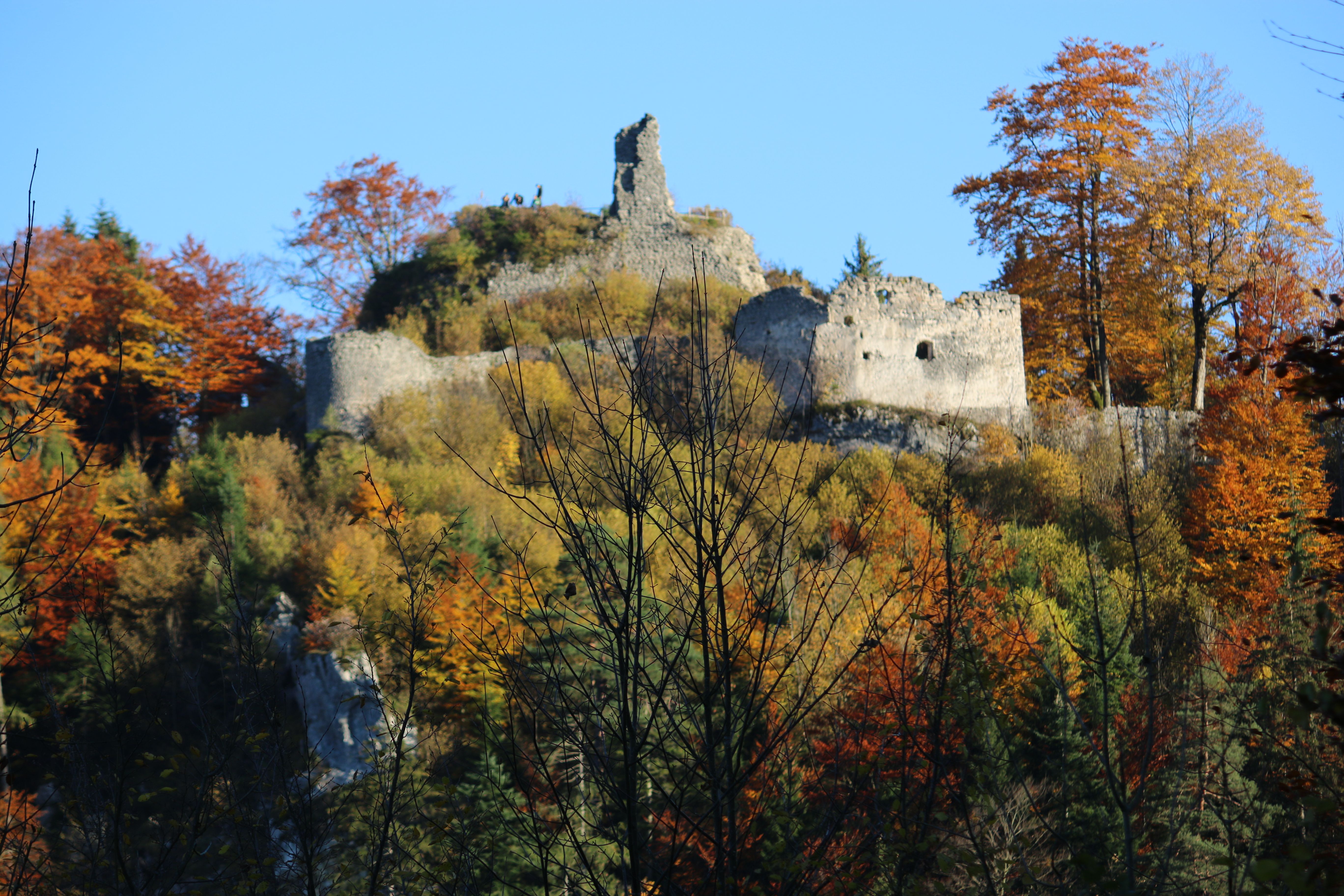 Ruine der Burg Hohenberg umgeben von herbstlichen Bäumen.