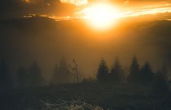 Die sanften Hügel der Wiener Alpen sind in einen mystischen Nebel gehüllt, während die goldene Herbstsonne langsam am Horizont aufgeht. Die kühle Luft ist erfüllt von dem Duft der Wälder, und die Stille wird nur durch das sanfte Rascheln des Grases unterbrochen. Ein perfekter Moment, um die Schönheit der Natur zu genießen und die Seele baumeln zu lassen.
