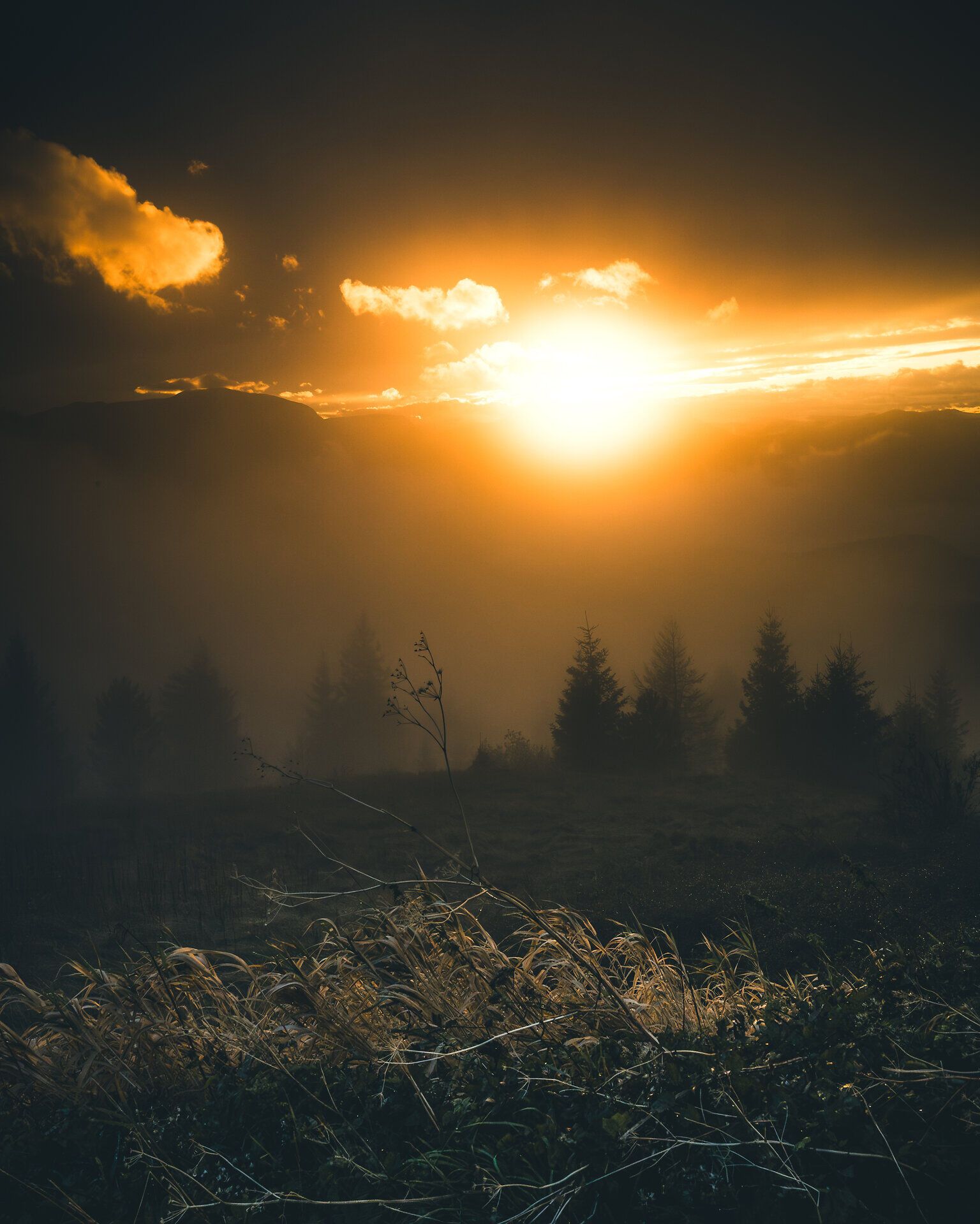 Die sanften Hügel der Wiener Alpen sind in einen mystischen Nebel gehüllt, während die goldene Herbstsonne langsam am Horizont aufgeht. Die kühle Luft ist erfüllt von dem Duft der Wälder, und die Stille wird nur durch das sanfte Rascheln des Grases unterbrochen. Ein perfekter Moment, um die Schönheit der Natur zu genießen und die Seele baumeln zu lassen.