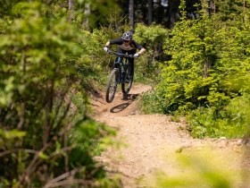 Singletrail 3, © Wexl Trails