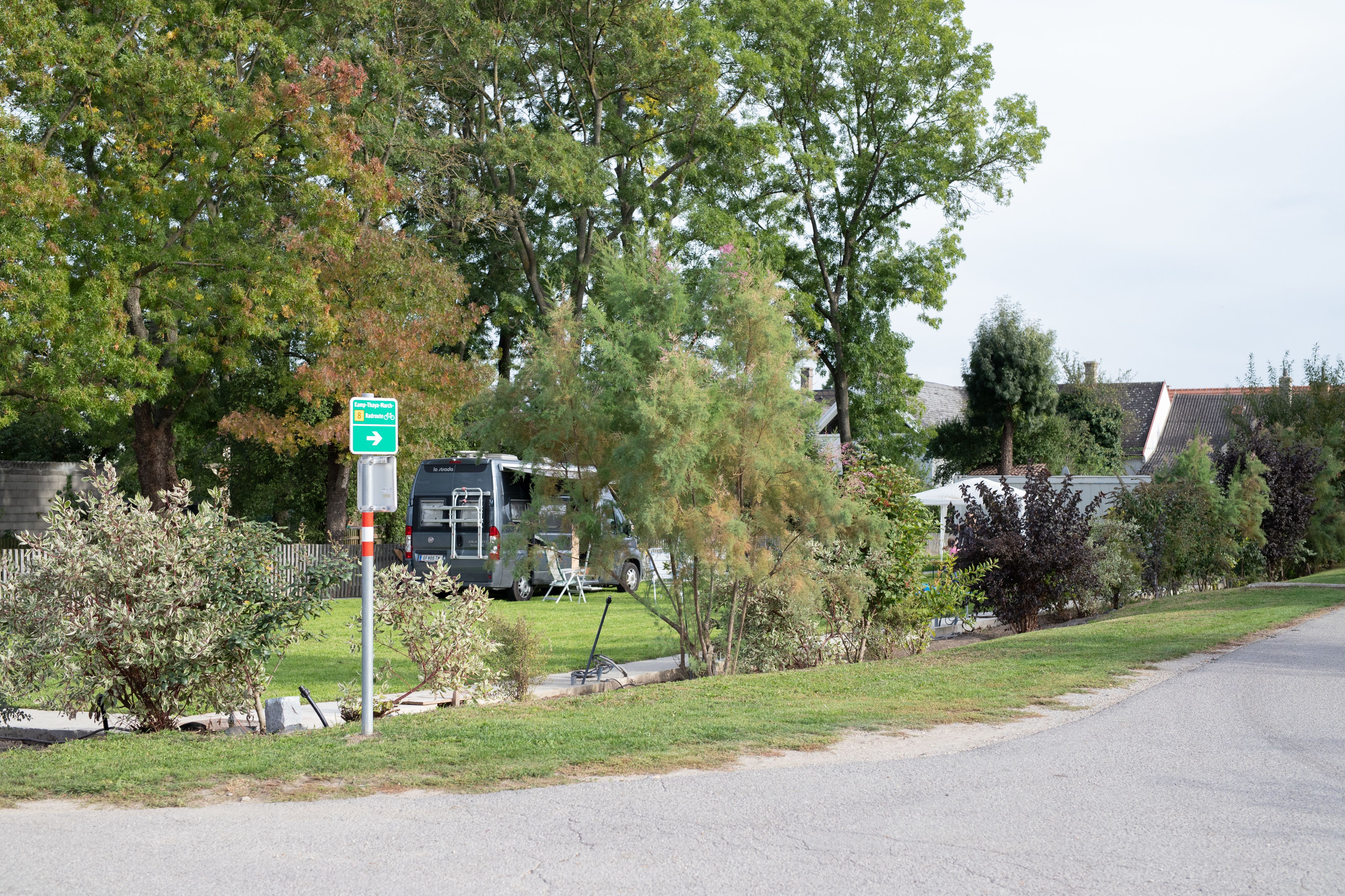 Campingplatz mit Wohnmobil und Bäumen im Hintergrund.