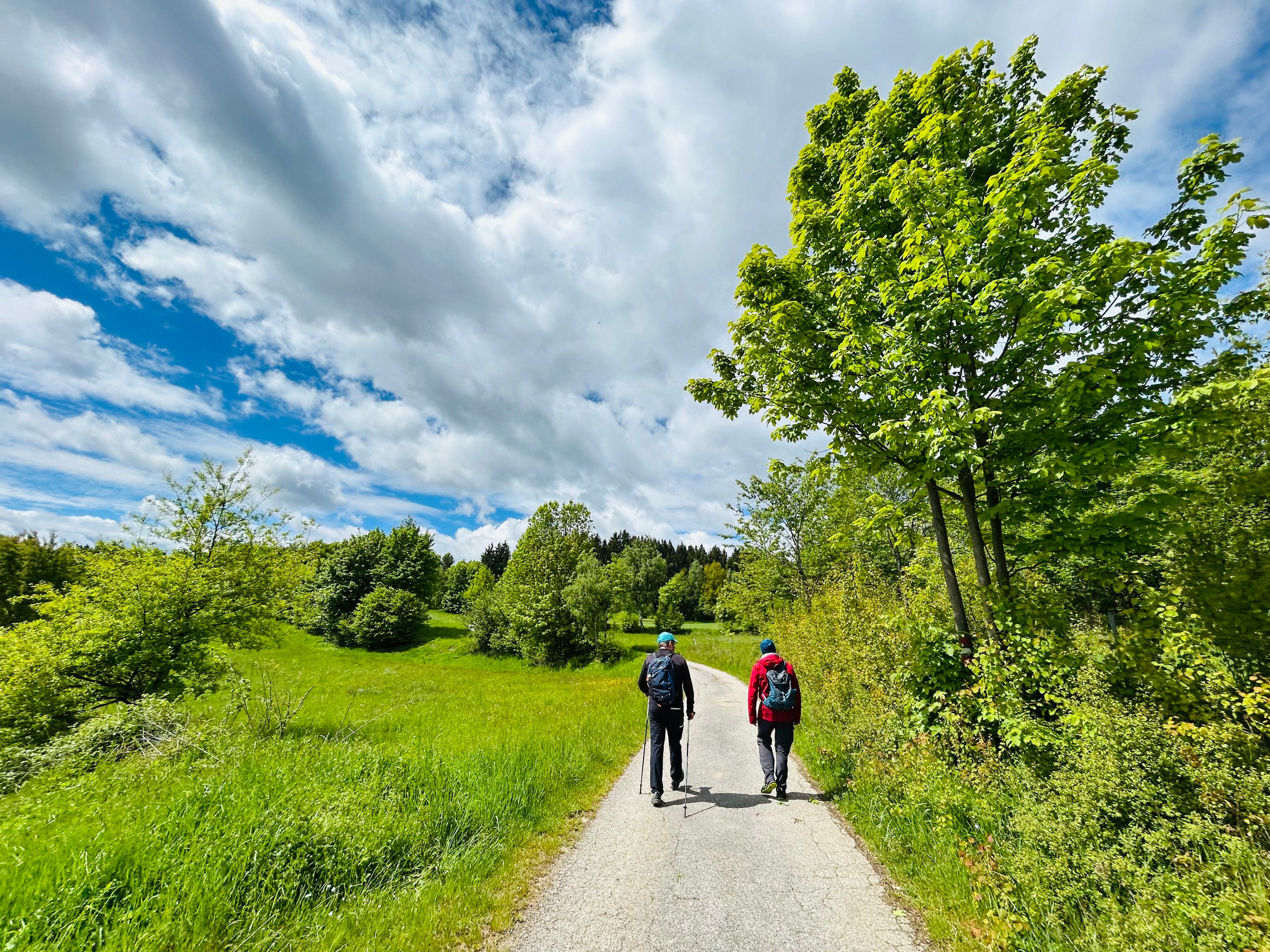 Zwei Wanderer auf einem Weg durch eine grüne Landschaft mit Bäumen und Wolken am Himmel.