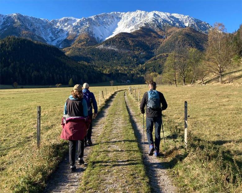 Vier Wanderer auf einem Feldweg mit schneebedeckten Bergen im Hintergrund.