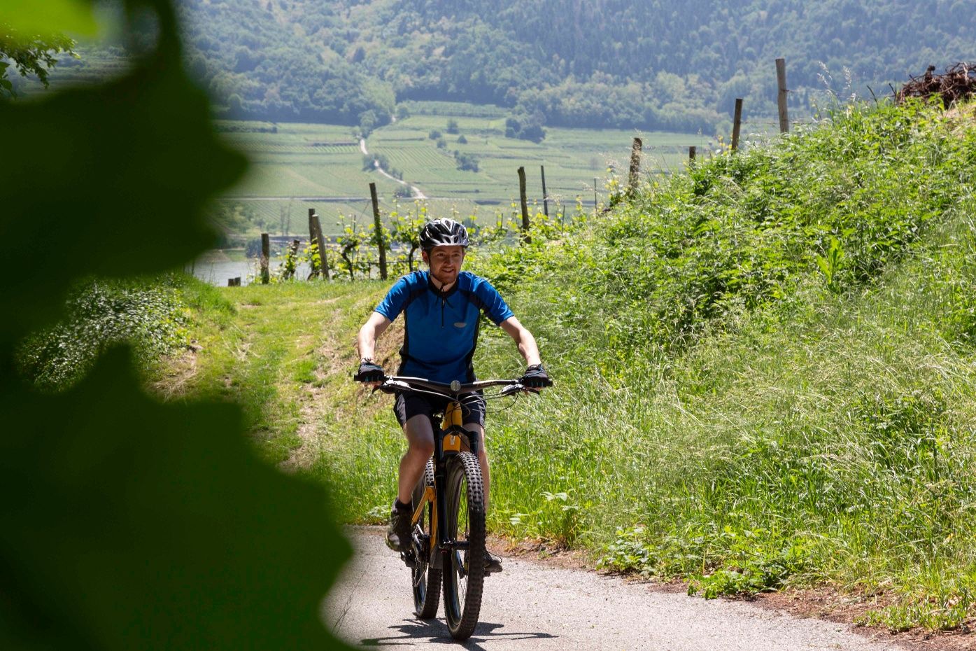 Mountainbiker mit Steigung