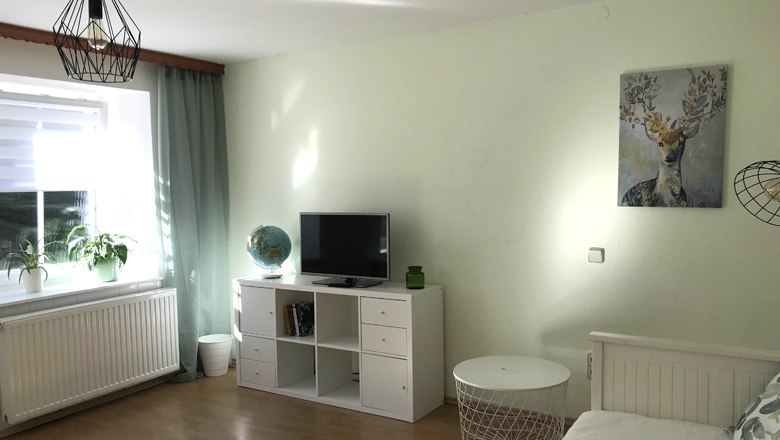 Helles Wohnzimmer mit TV, Globus und Pflanzen.