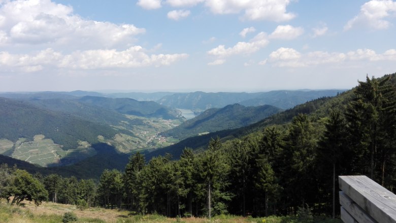 Panoramablick über bewaldete Hügel und ein Tal im Naturpark Jauerling, mit blauem Himmel und Wolken.