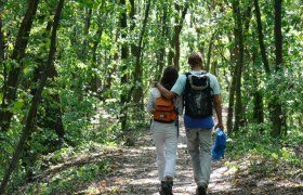 H&ouml;rstation Gro&szlig;vater-Geschichte, VIA.CARNUNTUM., &copy; Donau Nieder&ouml;sterreich, Steve Haider
