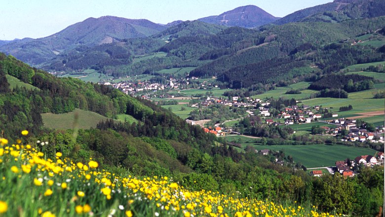 Blick auf St. Veit/G&ouml;lsen mit bl&uuml;hender Wiese im Vordergrund und bewaldeten H&uuml;geln im Hintergrund.